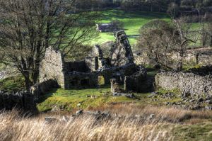 Swaledale 5 sm.jpg
